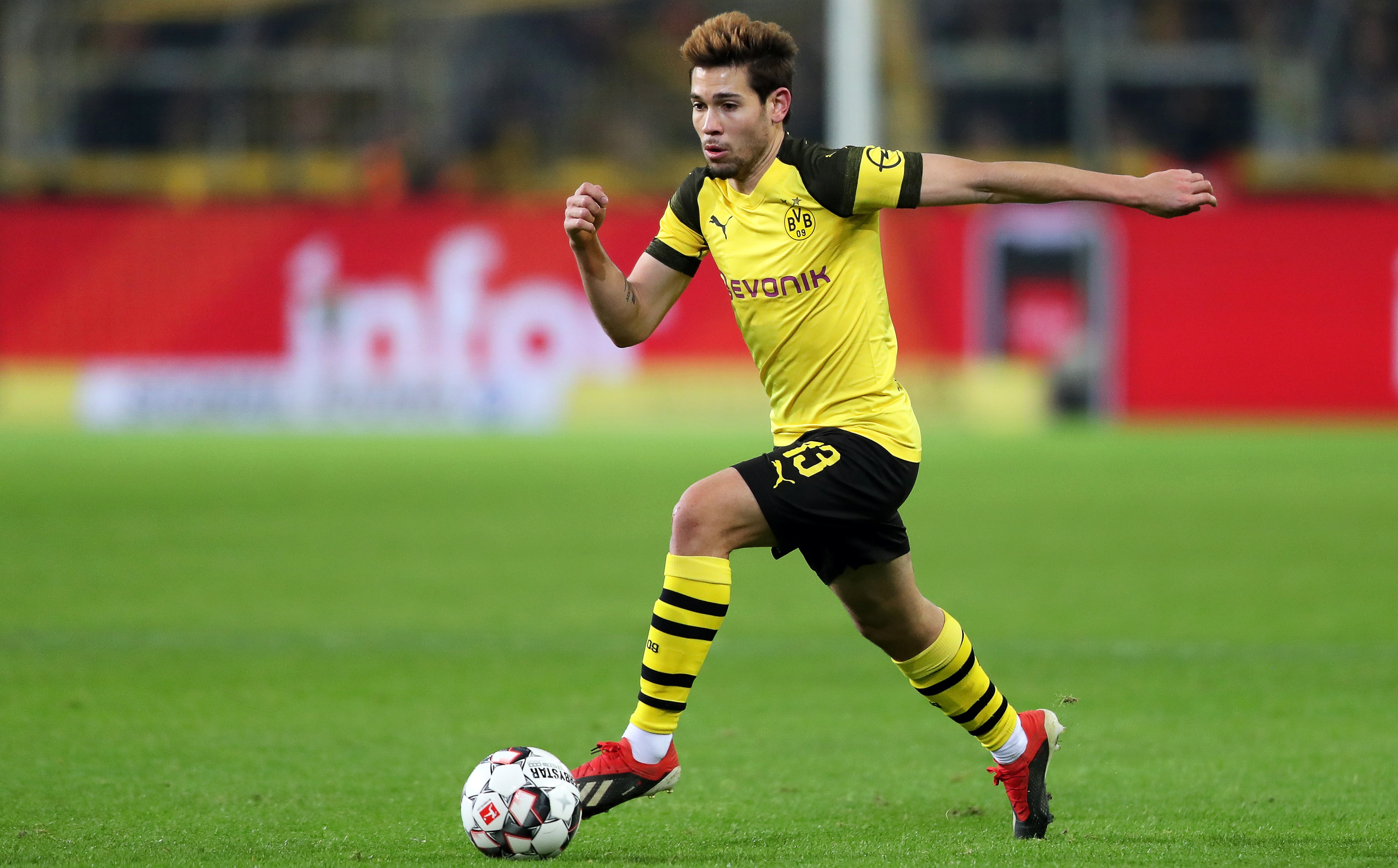 核心观点 核心观点